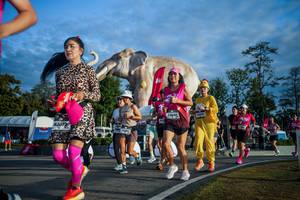 BIB: 
                            <button type="button" onclick="openModal(26541521)" class="btn btn-primary btn-sm float-right btn-popup" data-toggle="modal" data-target=".modal-high-quality">
                        <i class="fas fa-shopping-cart"></i> Add to Cart
                    </button>
                                            <button type="button" onclick="isThisMe(26541521, true)" class="btn btn-success btn-sm float-right btn-popup btn-isme hidden" data-toggle="tooltip" data-placement="bottom" title="นี่คือรูปของคุณใช่ไหม คลิกที่นี่เพื่อเอาเข้าอัลบั้ม">
                        <i class="fas fa-plus"></i> Add to album
                    </button>
                    <button type="button" onclick="isThisMe(26541521, false)" class="btn btn-warning btn-sm float-right btn-popup btn-isnotme hidden">
                        <i class="fas fa-ban"></i> Remove from album
                    </button>